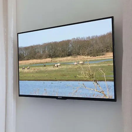 펜션 Reetdorf Geltinger Birk Malerhaus Eisnebel Nieby (Nieby, Schleswig-Flensburg)