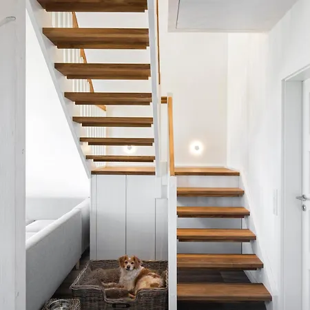 Reetdorf Geltinger Birk Malerhaus Eisnebel Nieby (Nieby, Schleswig-Flensburg)